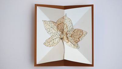 Ein in Brauntönen gezeichnetes Blatt eines Ahorns auf hellem Papier. Titel eines Künstlerbuches