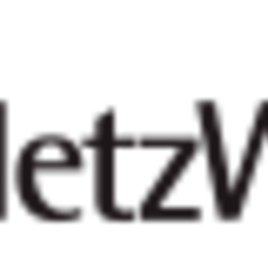 Logo die NetzWerkstatt