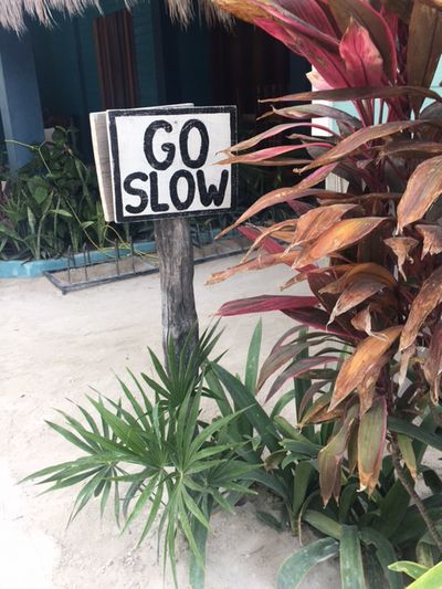 Offizielles Motto der Insel Caye Caulker Belize
